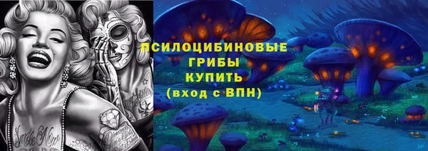 ECSTASY Алексеевка