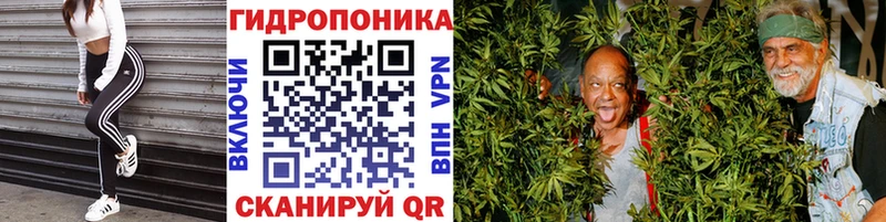 Бошки марихуана SATIVA & INDICA  продажа наркотиков  Анадырь 
